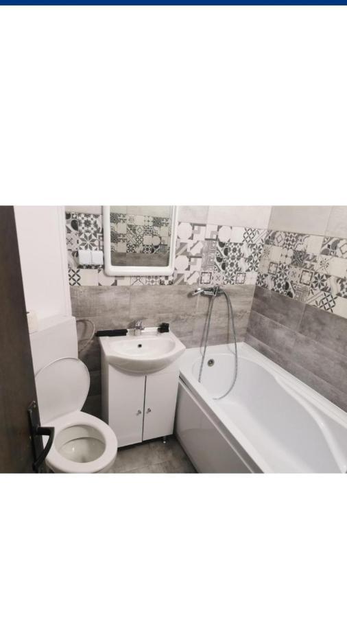 Vila Davison Târgu Jiu Екстериор снимка