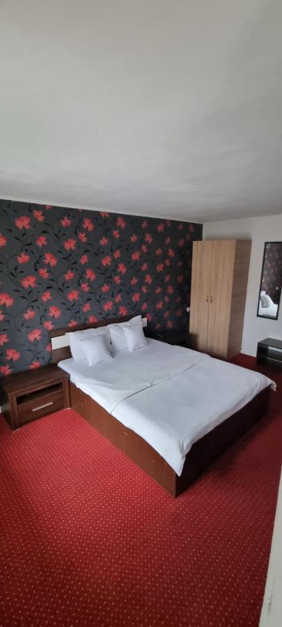Vila Davison Târgu Jiu Екстериор снимка