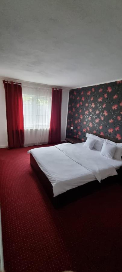 Vila Davison Târgu Jiu Екстериор снимка