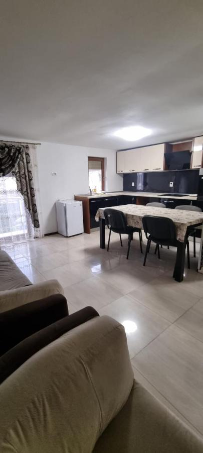 Vila Davison Târgu Jiu Екстериор снимка