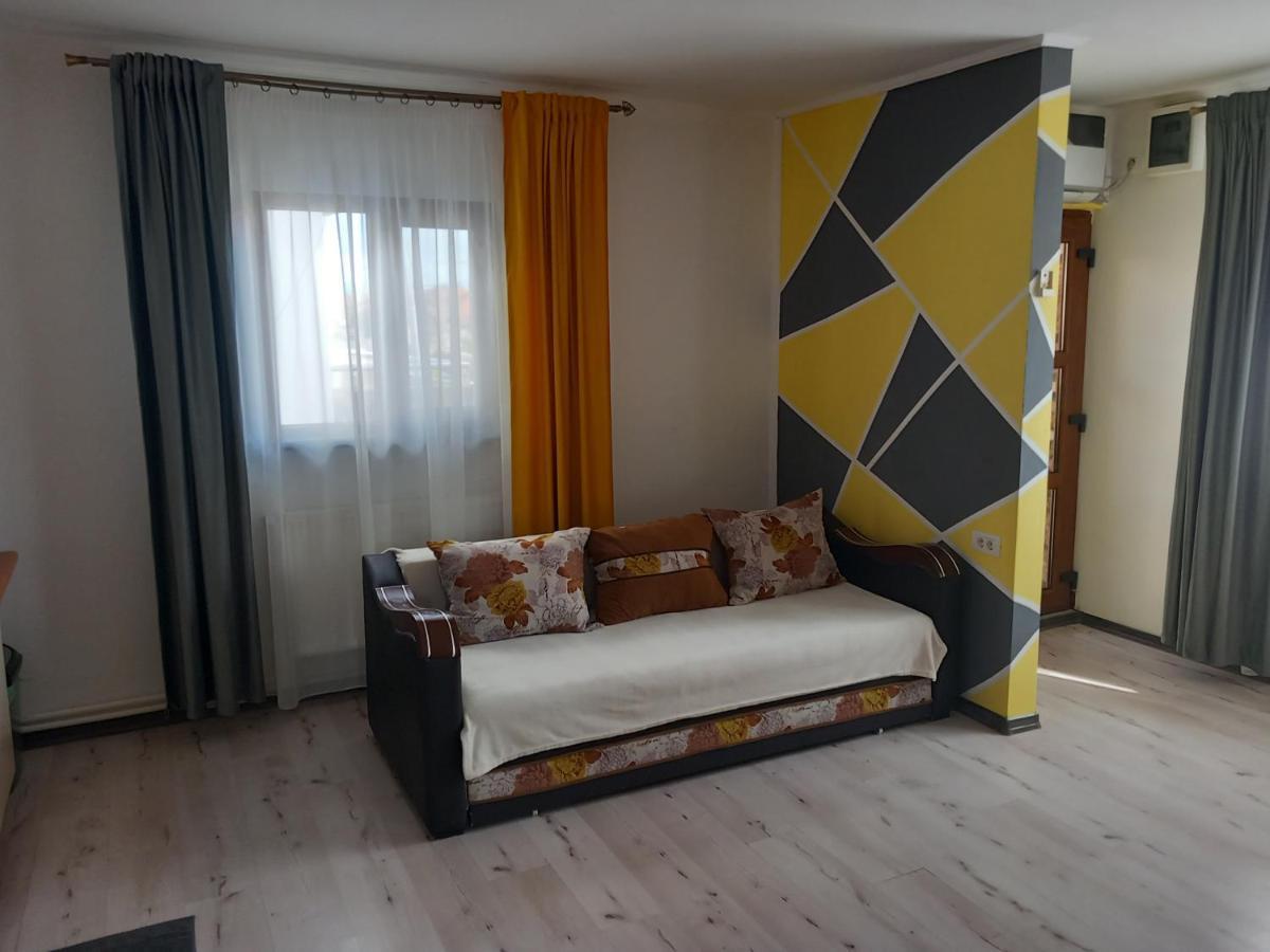 Vila Davison Târgu Jiu Екстериор снимка