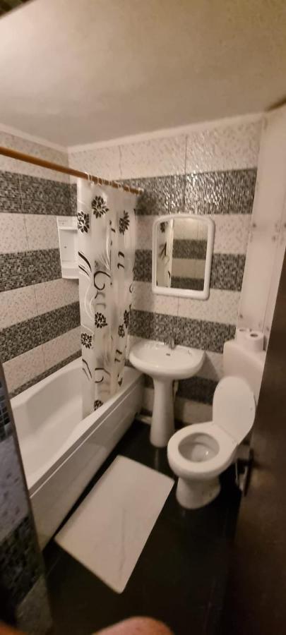 Vila Davison Târgu Jiu Екстериор снимка