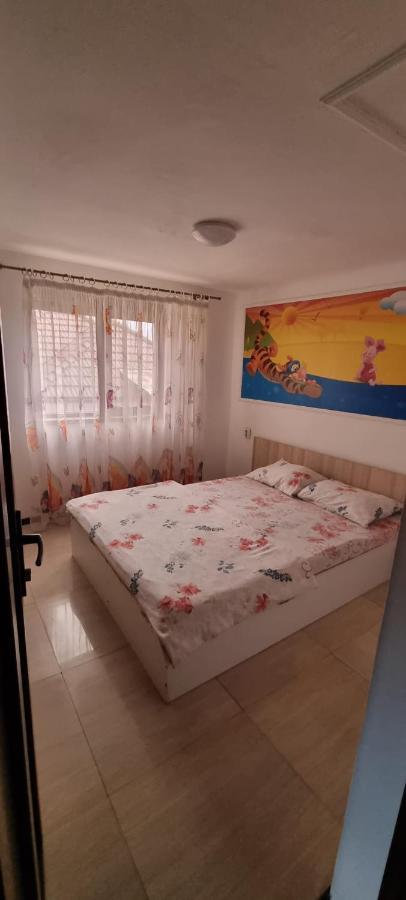 Vila Davison Târgu Jiu Екстериор снимка
